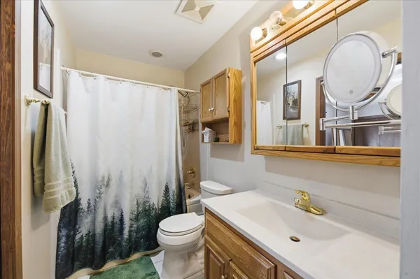 a bathroom with a sink a toilet and a mirror