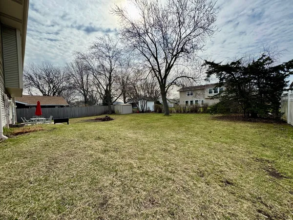 a view of a yard with a tree