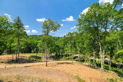 a view of a lush green forest with mountains in the background