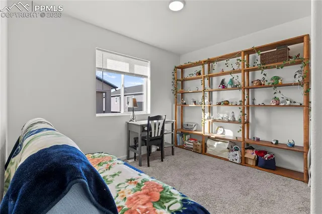 a bed room with furniture and a book shelf