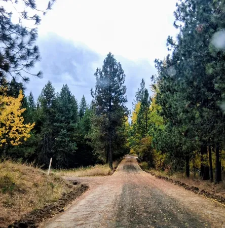 $125,000 | 706 McCammon Drive, Elk, WA 99009