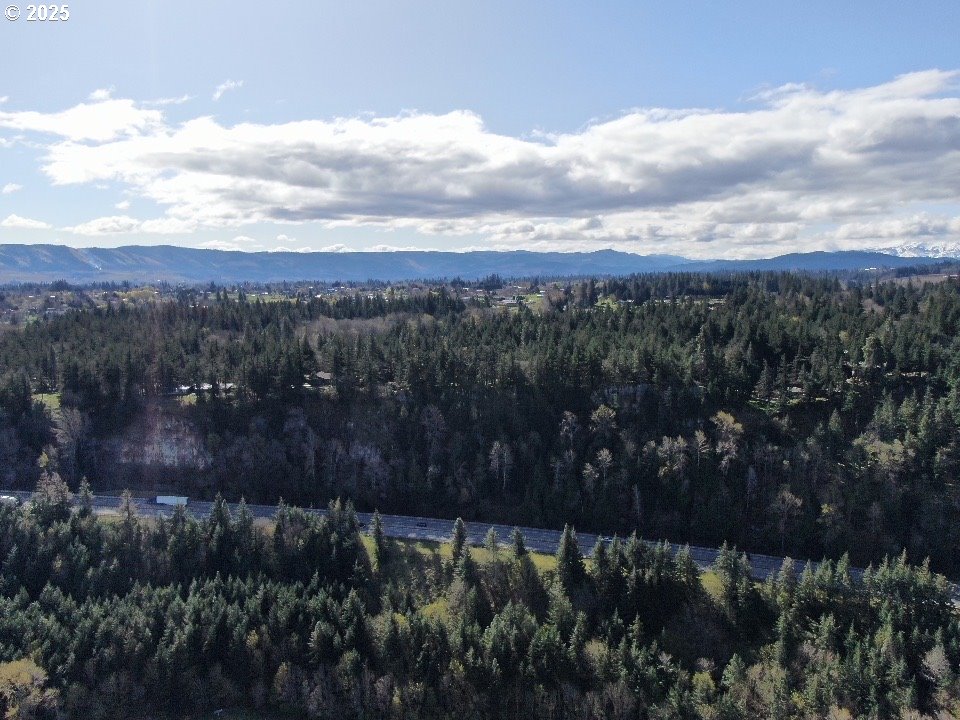4390 West Ridge Drive Hood River, OR 97031 - Photo 9 of 11