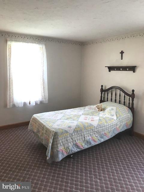 178 West Hanover Street Spring Grove, PA 17362 - Photo 30 of 57 First floor bedroom