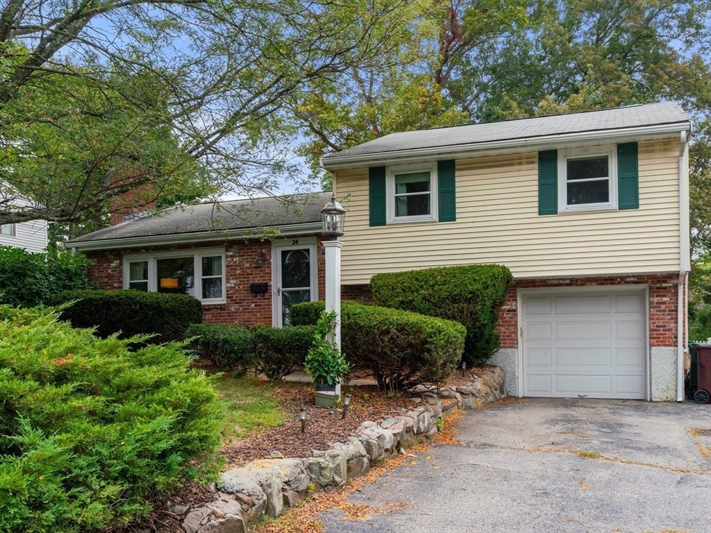 a view of a house with a yard plants and large tree