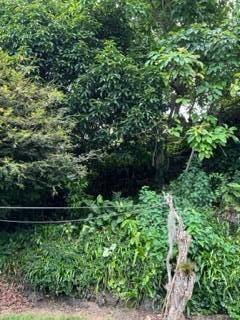 82-5932 Government Main Road Captain Cook, HI 96704 - Photo 11 of 11