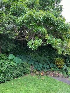 82-5932 Government Main Road Captain Cook, HI 96704 - Photo 9 of 11