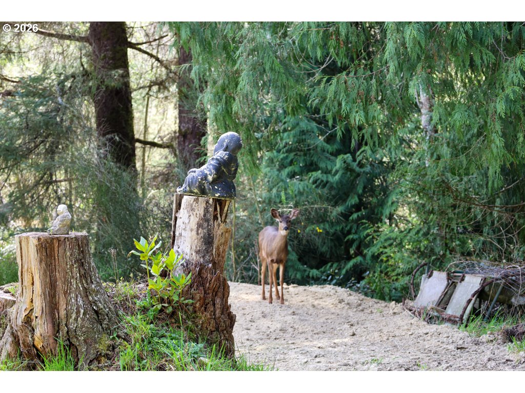 515 Rugh Lane Lakeside, OR 97449 - Photo 35 of 41