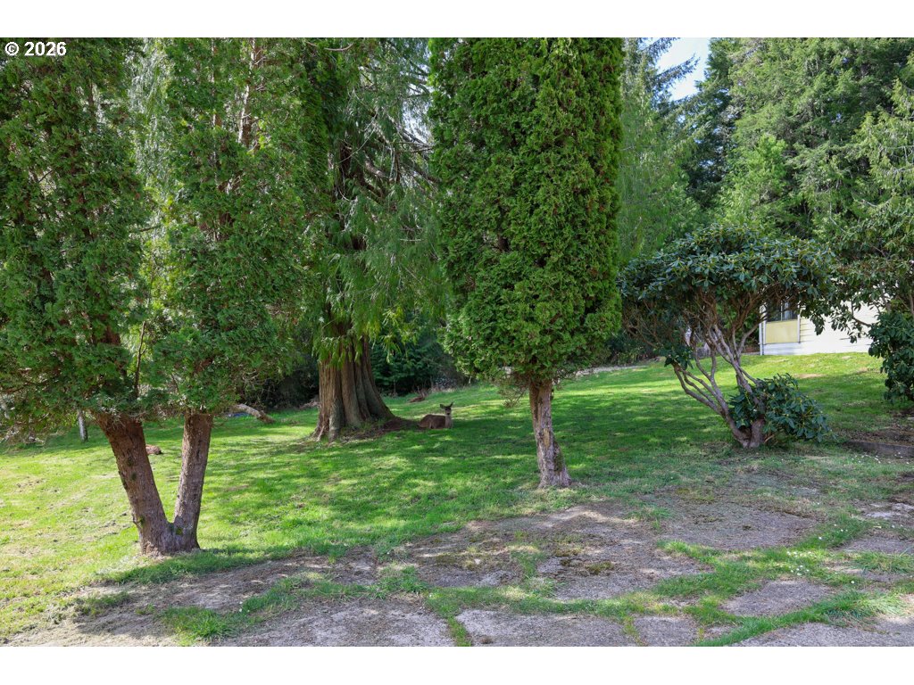 515 Rugh Lane Lakeside, OR 97449 - Photo 41 of 41