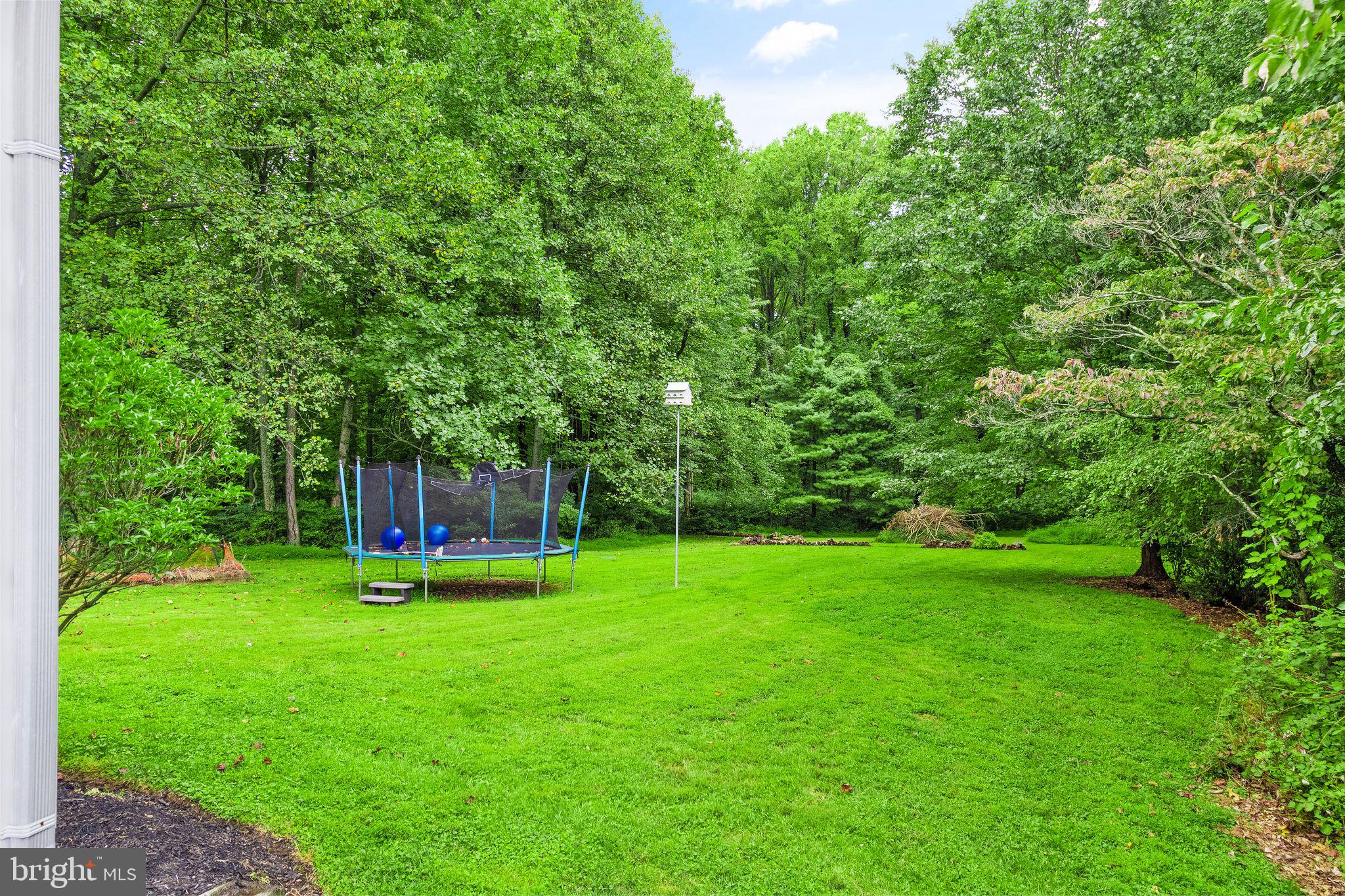 39686 Thomas Mill Road Leesburg, VA 20175 - Photo 102 of 104