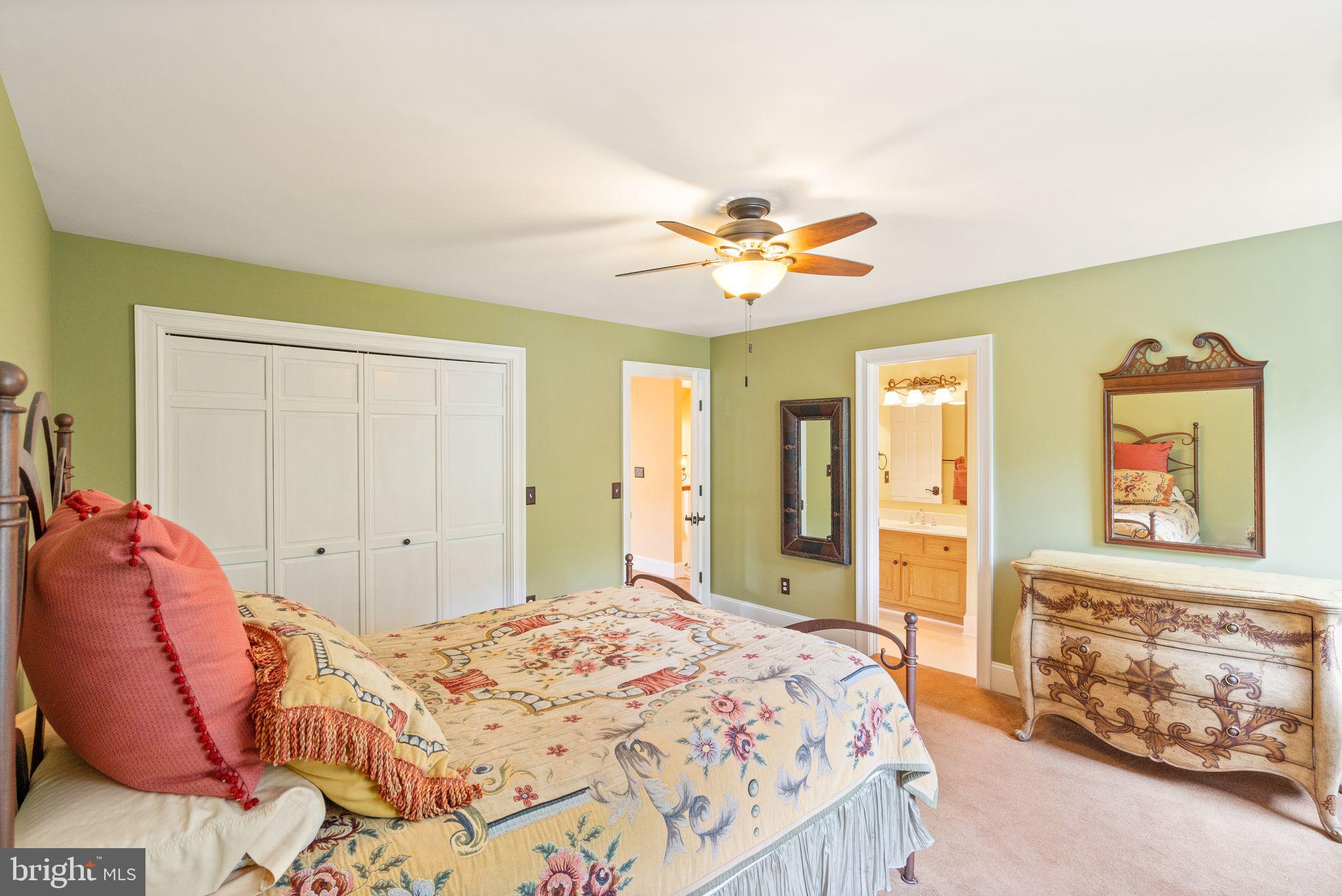 39686 Thomas Mill Road Leesburg, VA 20175 - Photo 62 of 104 Back right bedroom with private bathroom access.