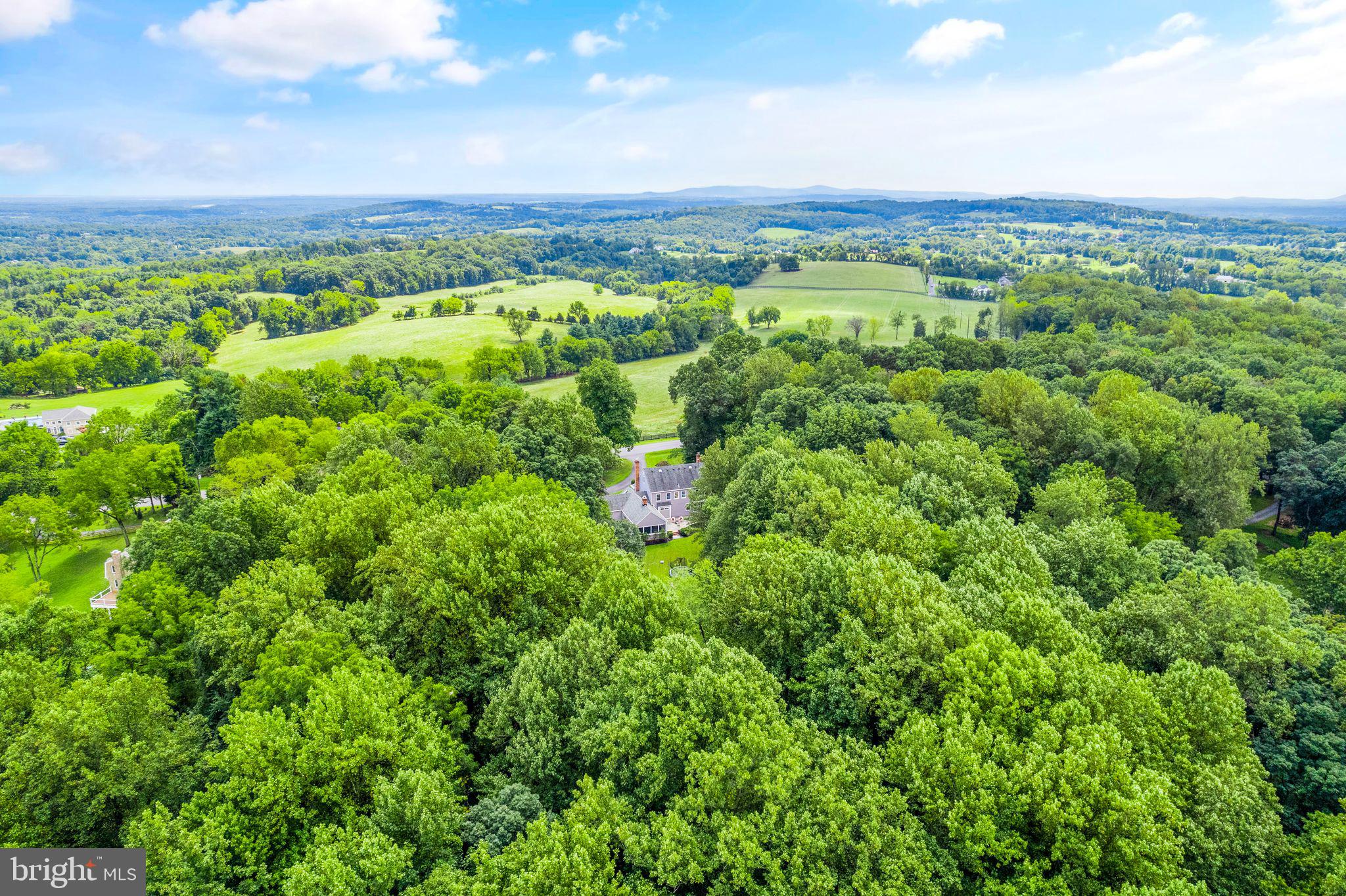 39686 Thomas Mill Road Leesburg, VA 20175 - Photo 96 of 104