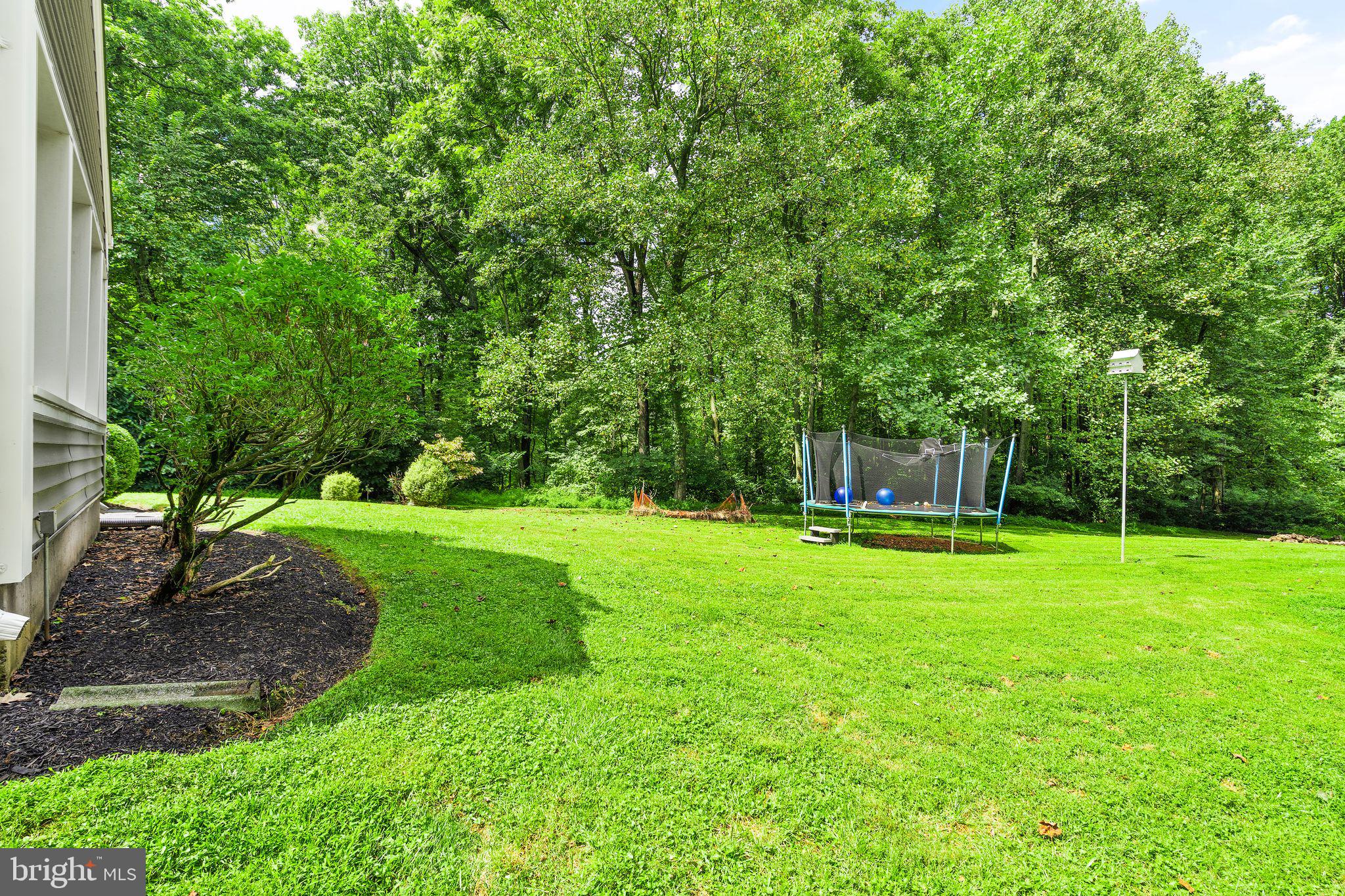 39686 Thomas Mill Road Leesburg, VA 20175 - Photo 100 of 104