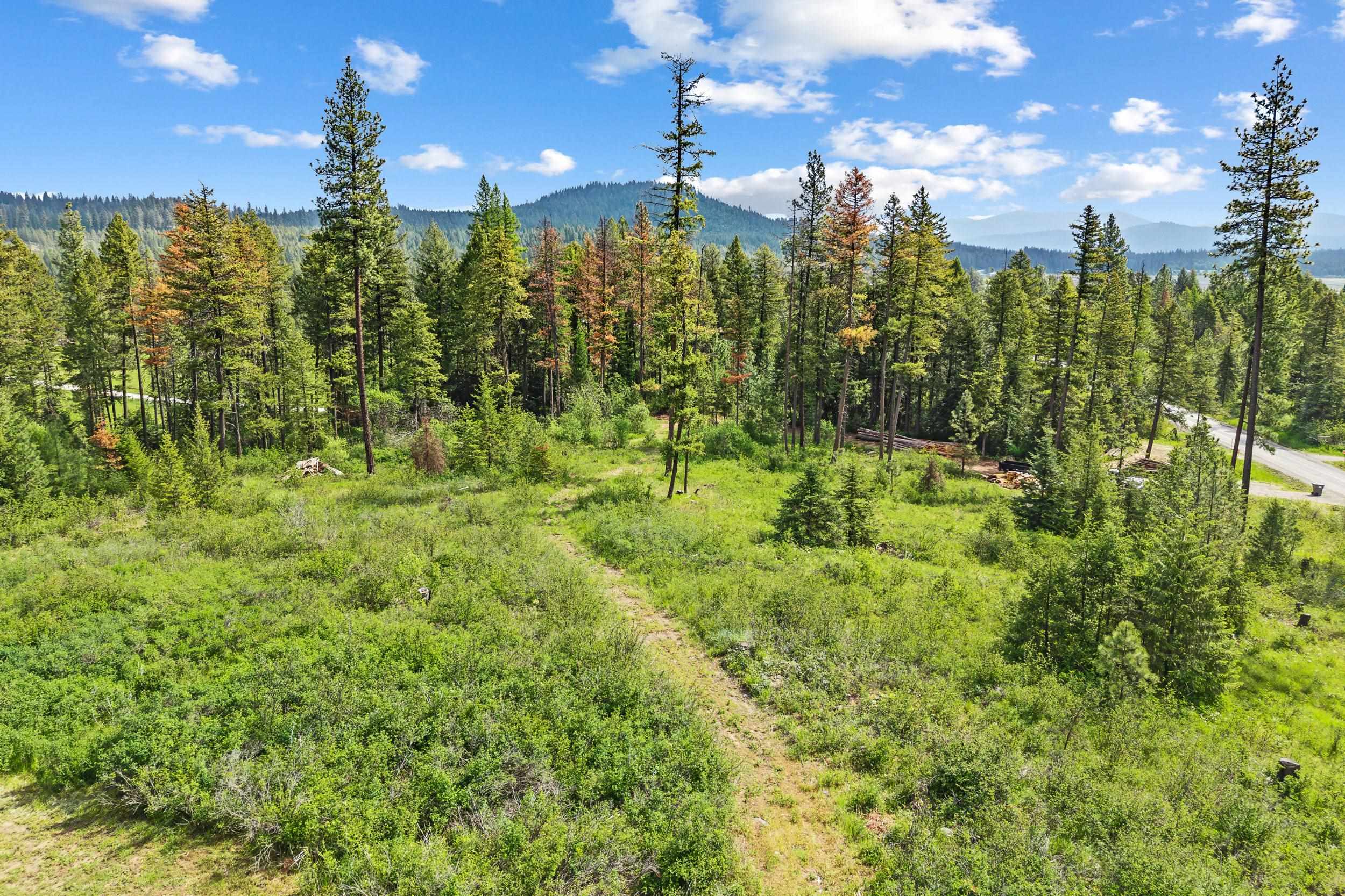 4045 Deer Creek Road Valley, WA 99181 - Photo 25 of 44