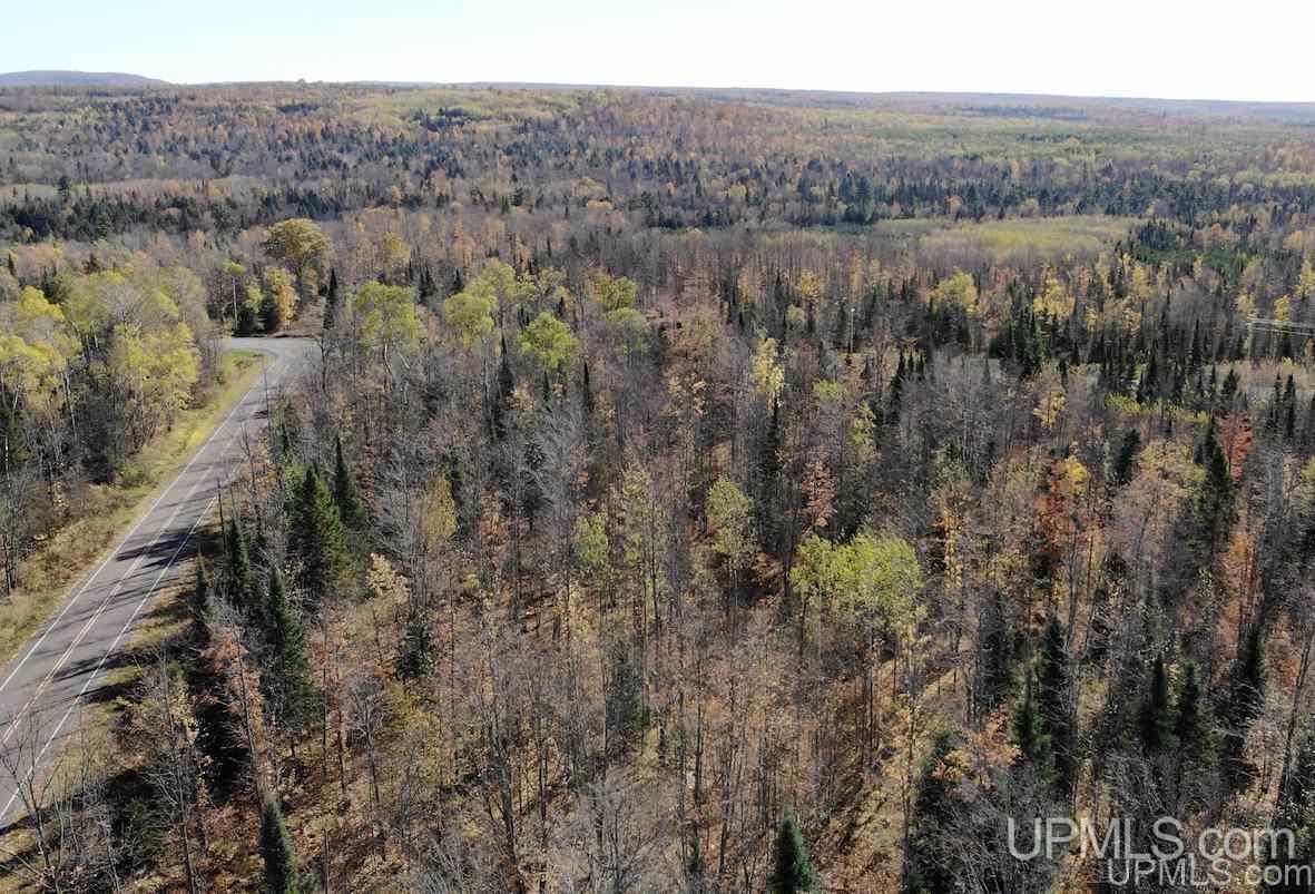 Tbd Ford Farm Road Skanee, MI 49962 - Photo 7 of 27