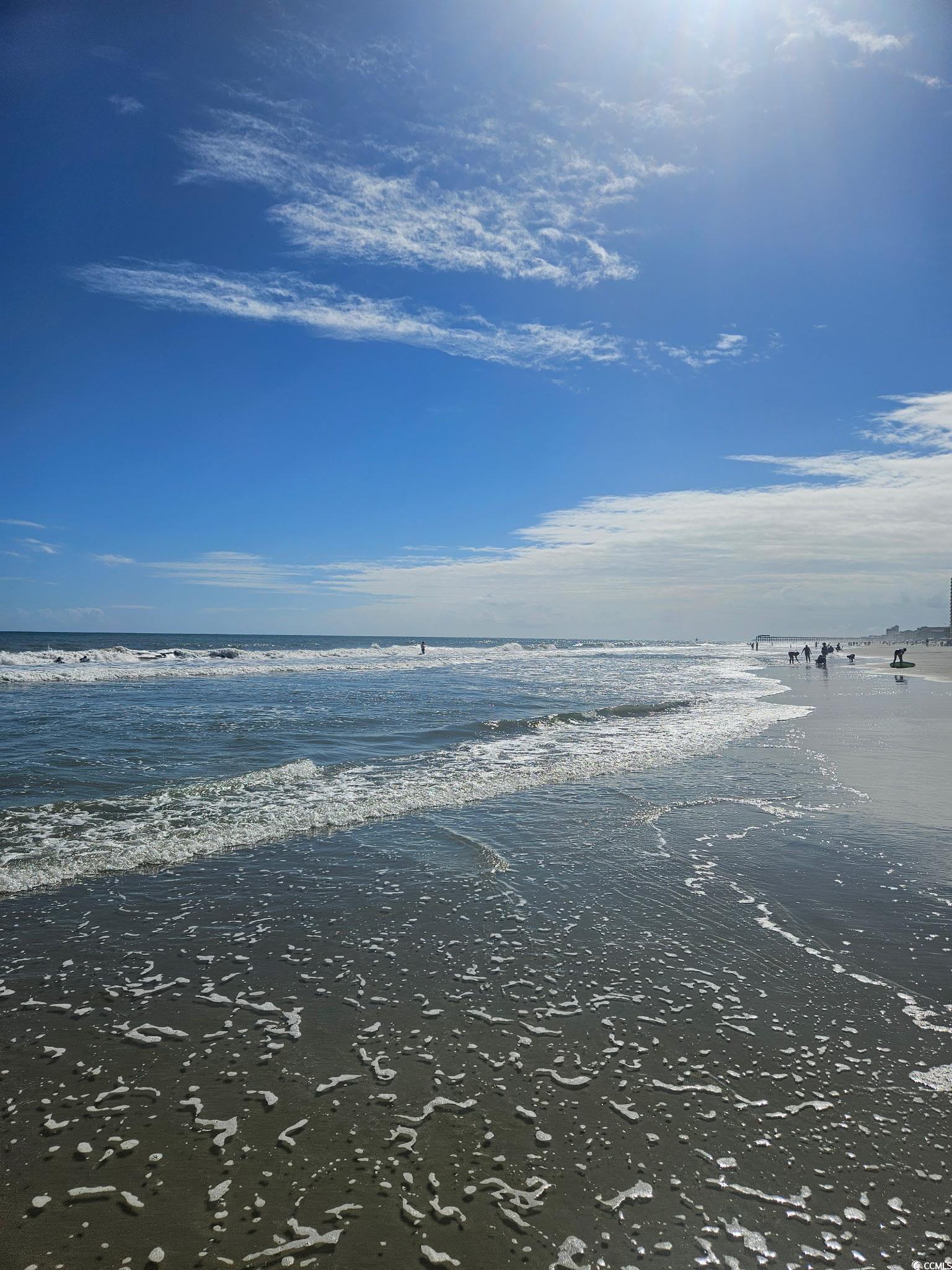 1521 North Waccamaw Drive Murrells Inlet, SC 29576 - Photo 40 of 40