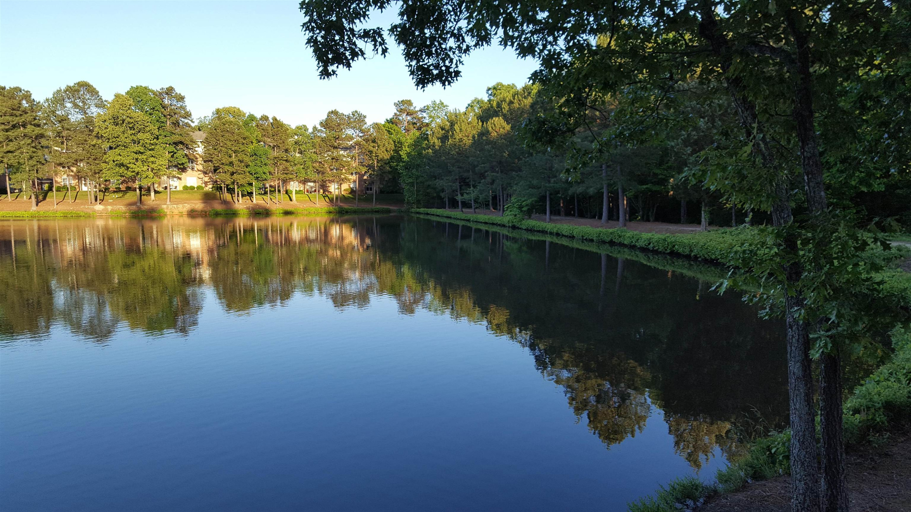 8044 Upper Lake Drive Raleigh, NC 27615 - Photo 24 of 25 Photo 24