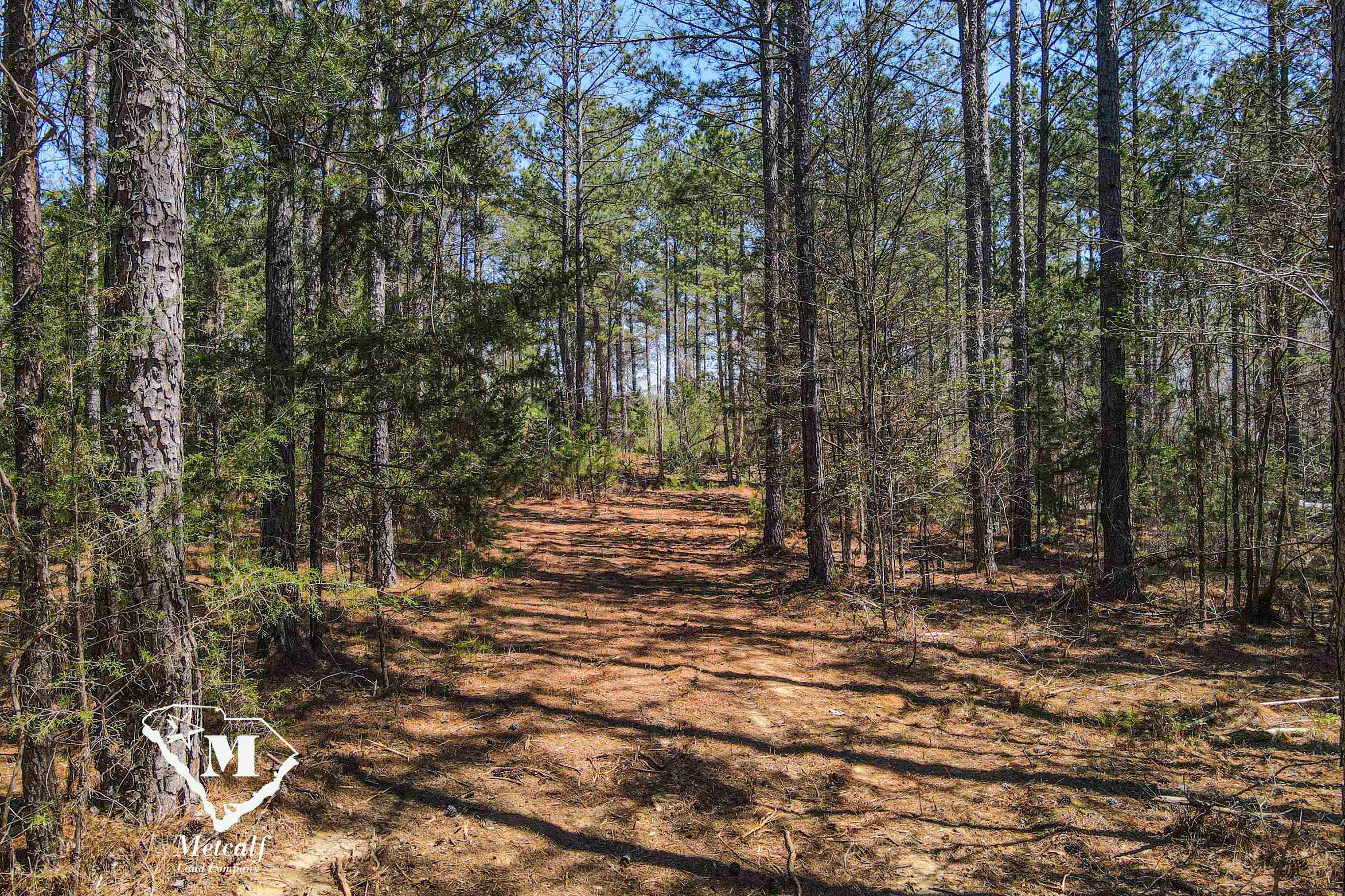 0 Asbury Road Pacolet, SC 29372 - Photo 2 of 10