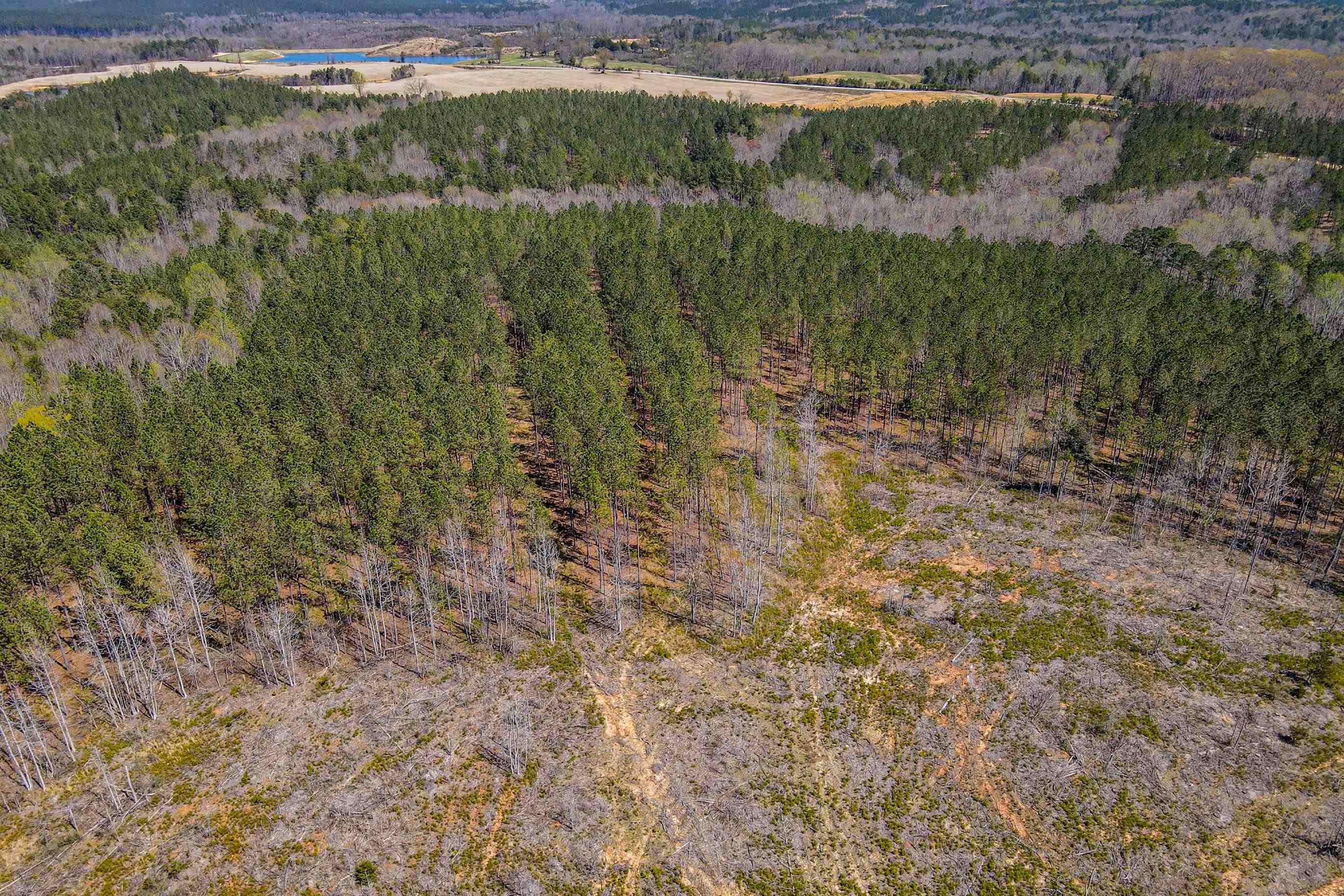 0 Asbury Road Pacolet, SC 29372 - Photo 3 of 10