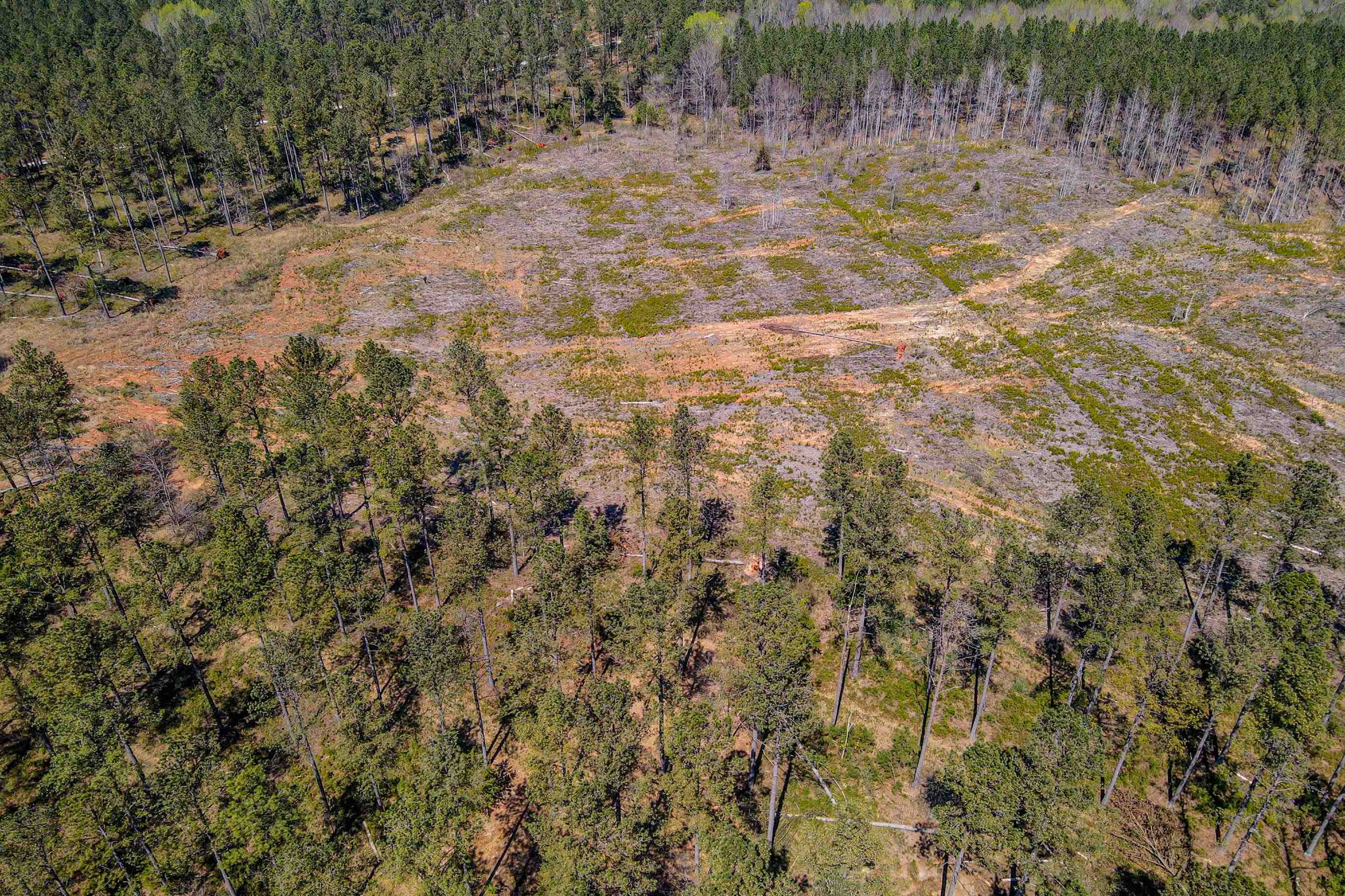 0 Asbury Road Pacolet, SC 29372 - Photo 4 of 10