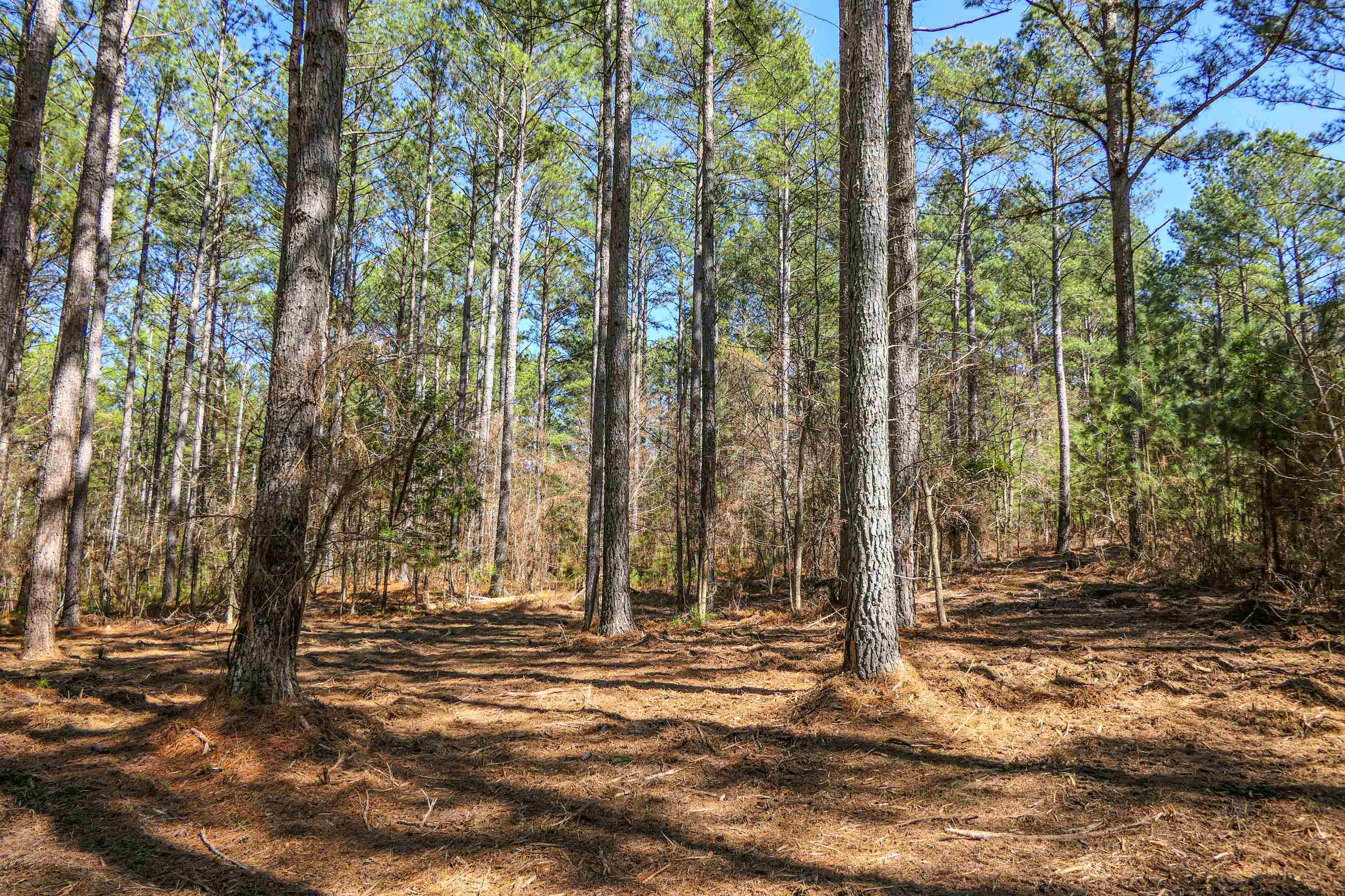 0 Asbury Road Pacolet, SC 29372 - Photo 6 of 10