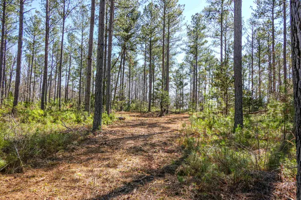 $114,260 | 0 Asbury Road, Pacolet, SC 29372
