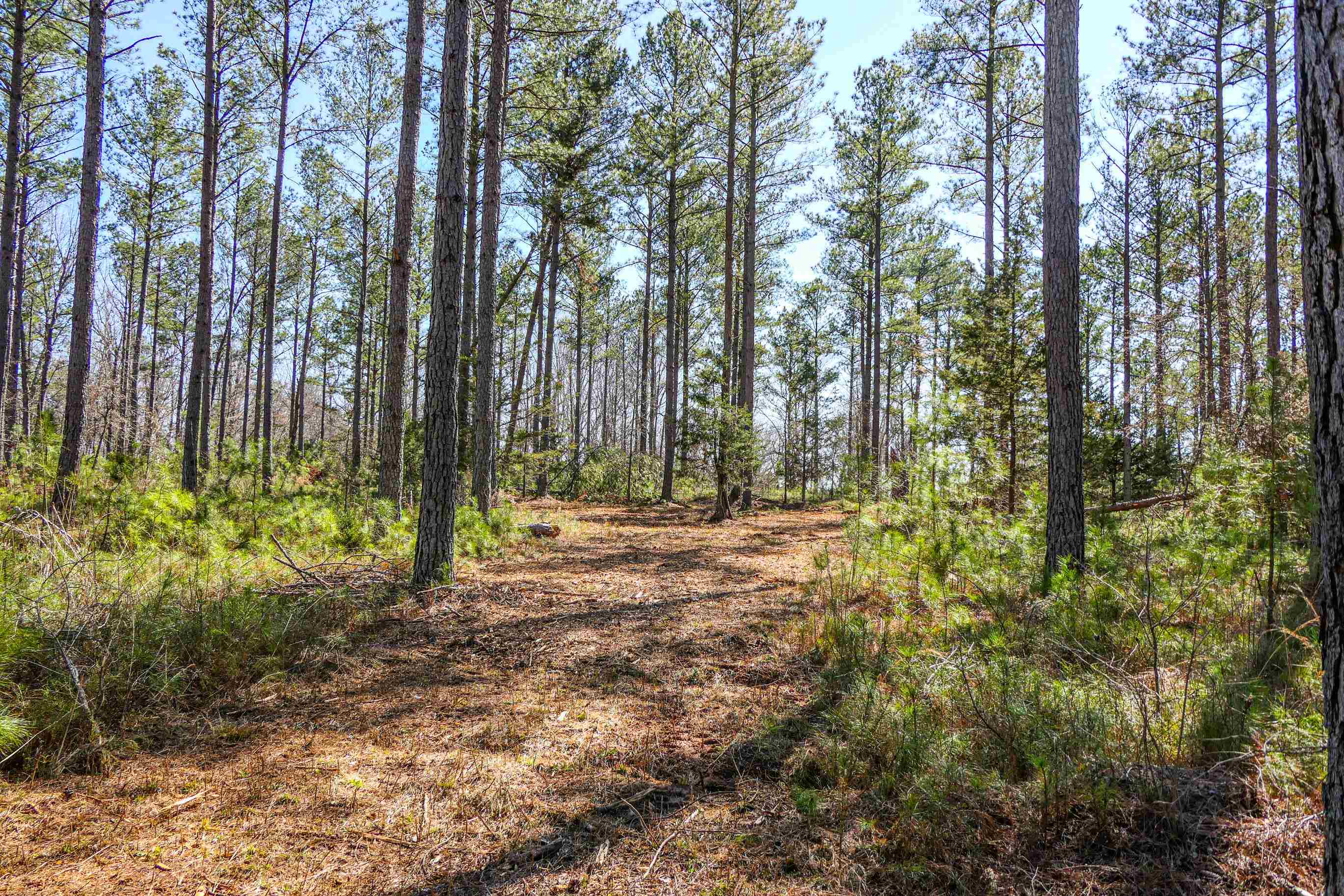 0 Asbury Road Pacolet, SC 29372 - Photo 8 of 10