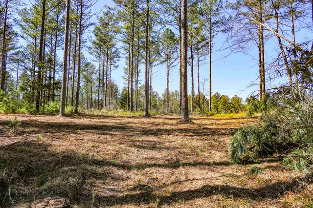 $114,260 | 0 Asbury Road, Pacolet, SC 29372