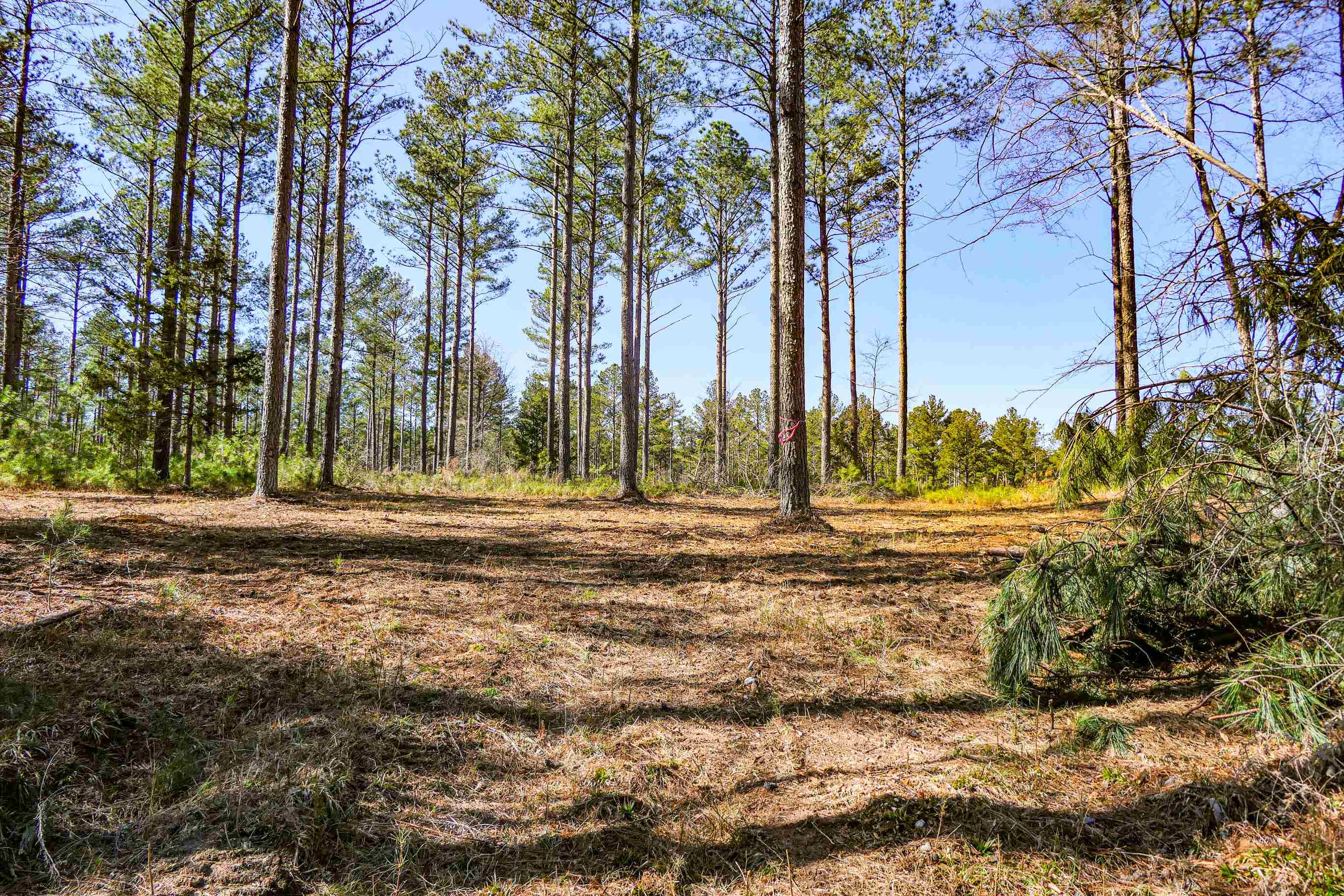 0 Asbury Road Pacolet, SC 29372 - Photo 9 of 10