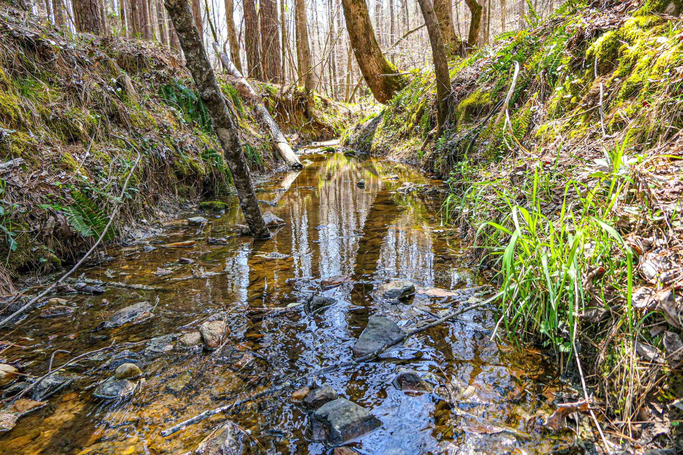 0 Asbury Road Pacolet, SC 29372 - Photo 10 of 10