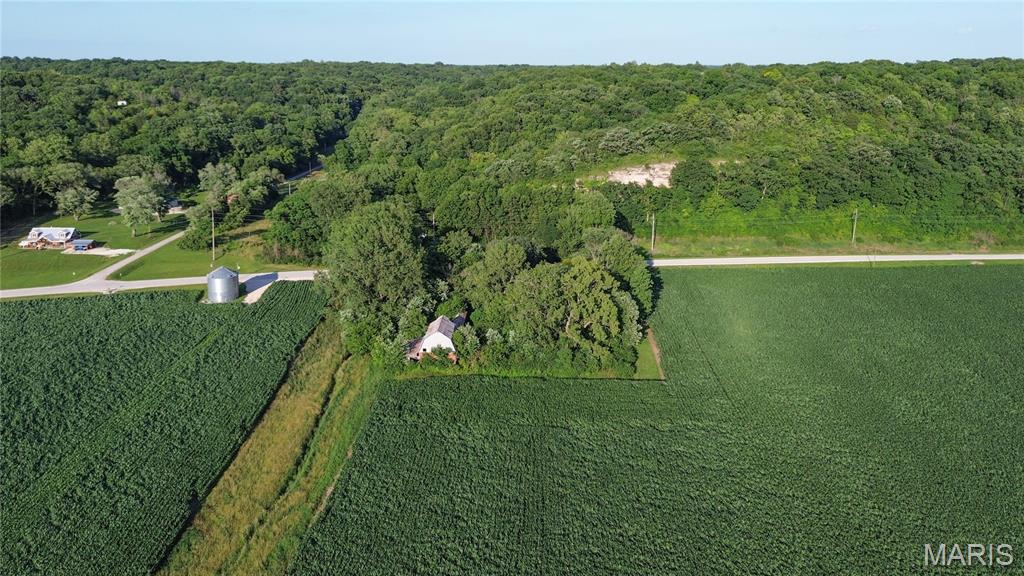 692 North Eldred-hillview Road Hillview, IL 62050 - Photo 63 of 64