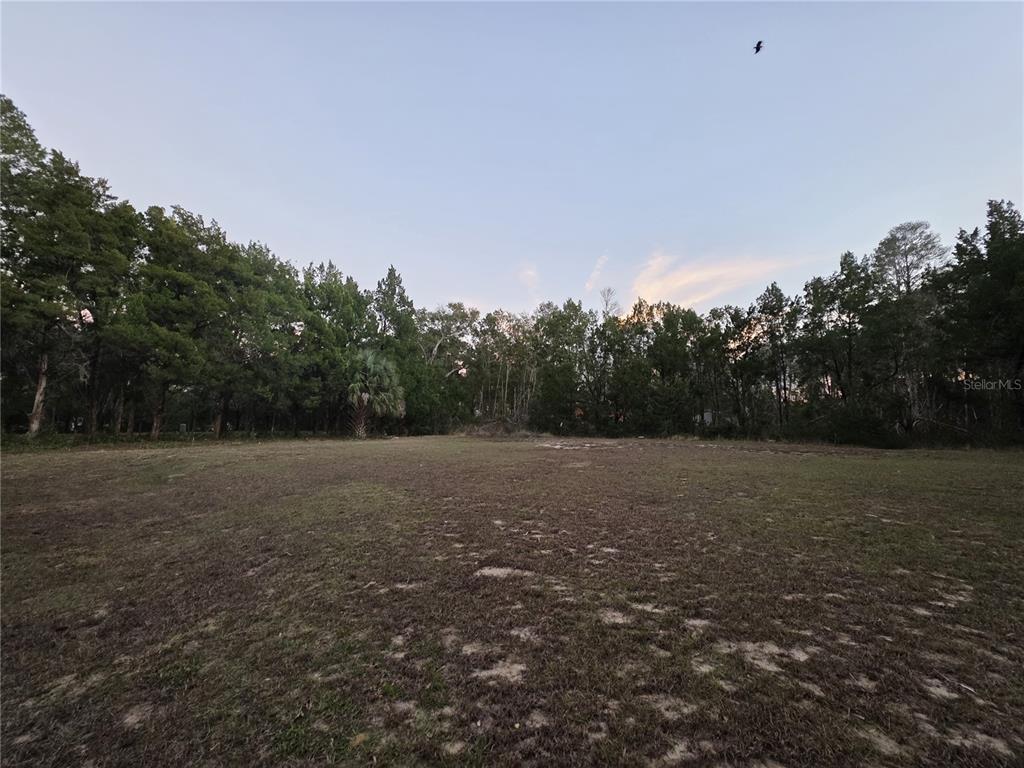36014 Lake Unity Nursery Road Fruitland Park, FL 34731 - Photo 31 of 32