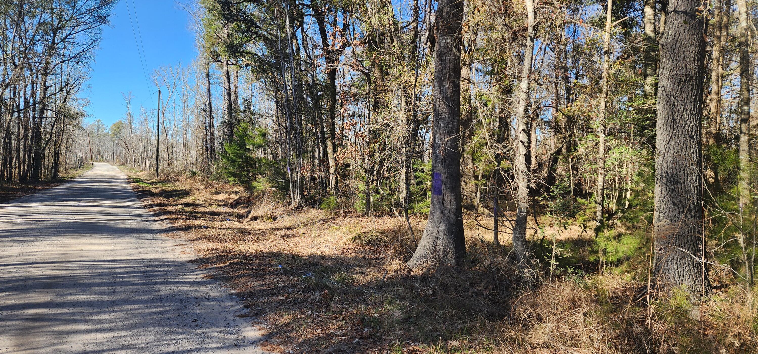 0 Bama Road Cottageville, SC 29435 - Photo 18 of 38 Bama