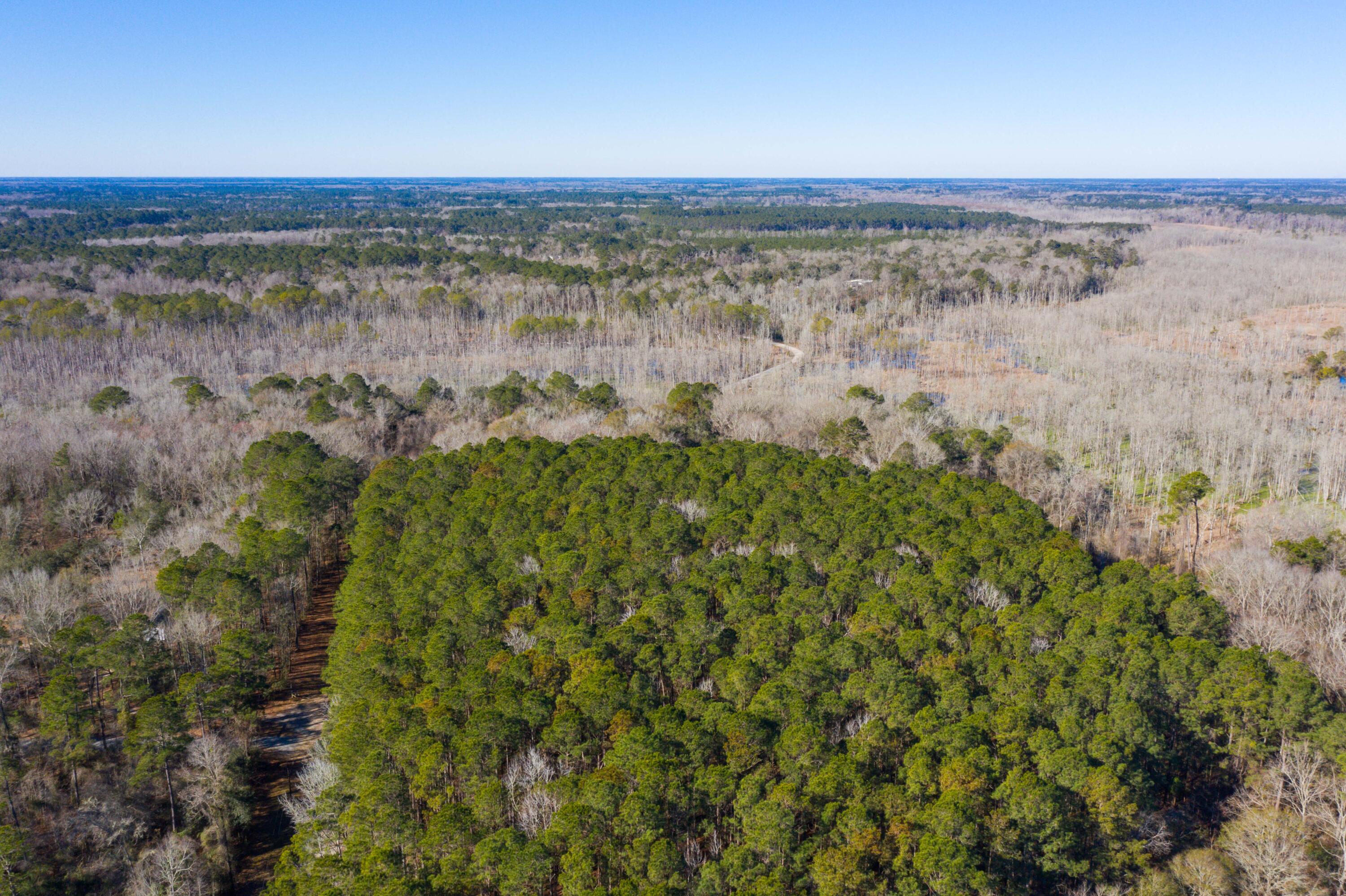 0 Bama Road Cottageville, SC 29435 - Photo 23 of 38 DJI_0001