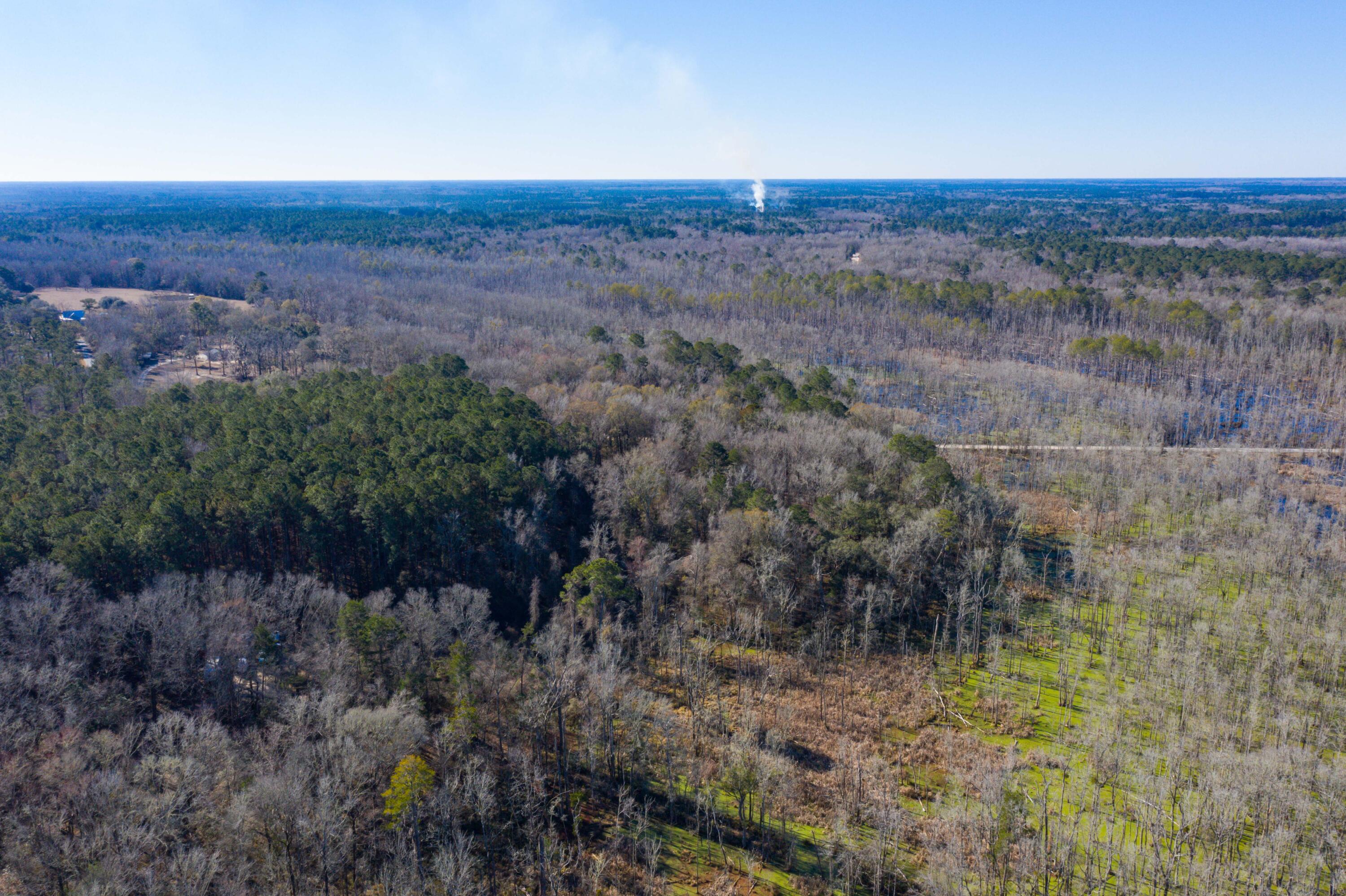0 Bama Road Cottageville, SC 29435 - Photo 25 of 38 DJI_0003