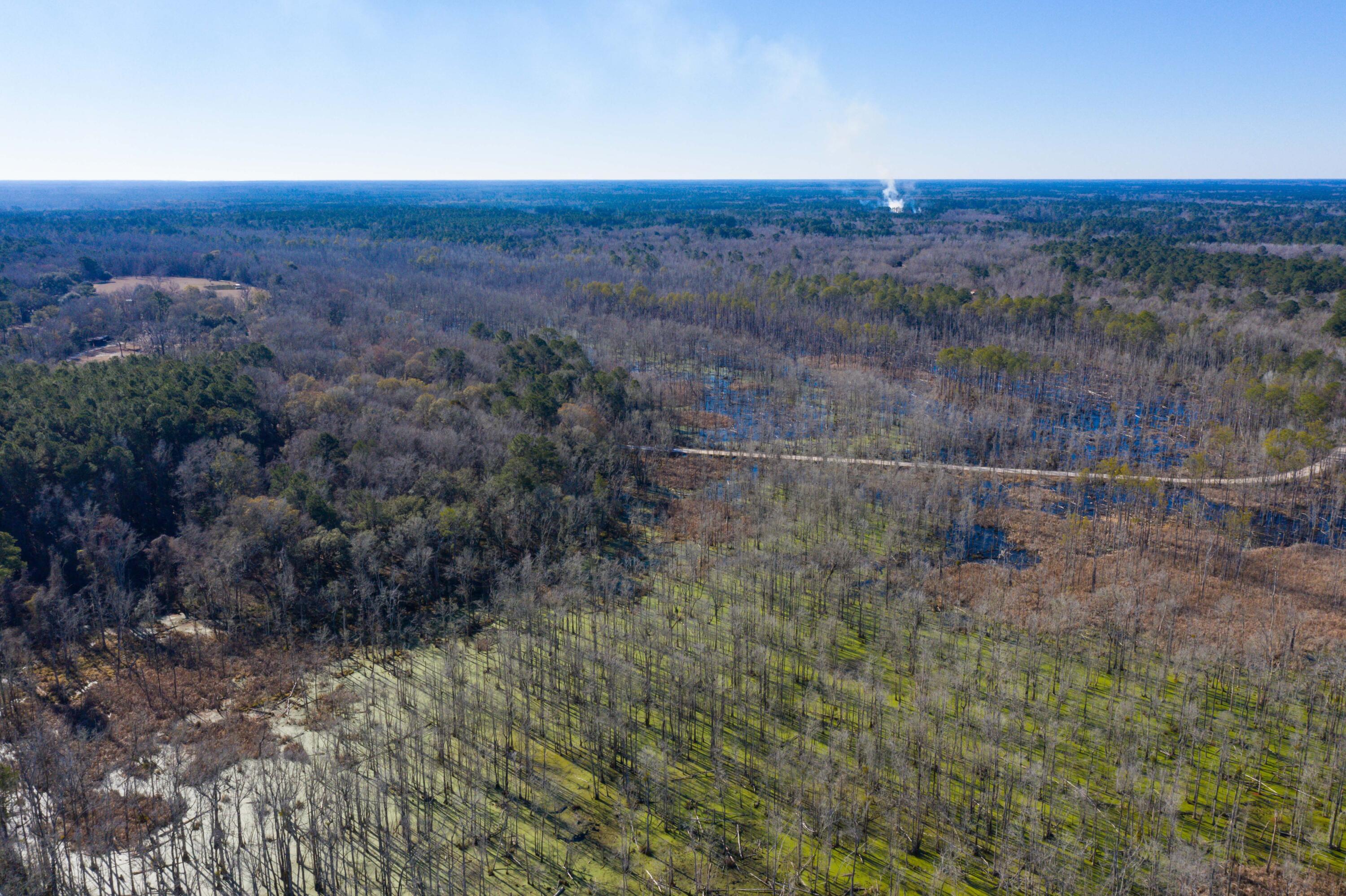 0 Bama Road Cottageville, SC 29435 - Photo 26 of 38 DJI_0004
