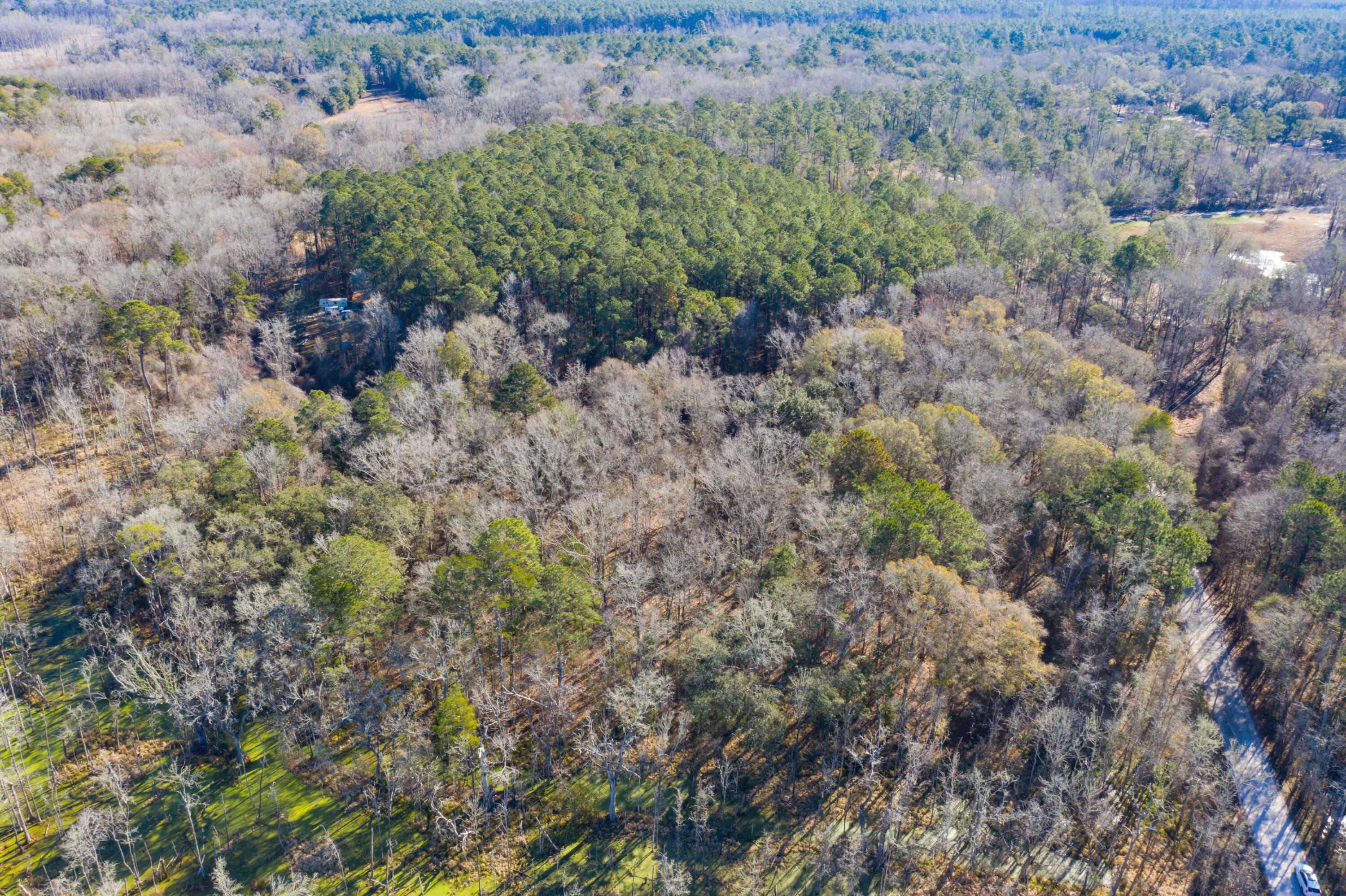 0 Bama Road Cottageville, SC 29435 - Photo 28 of 38 DJI_0007
