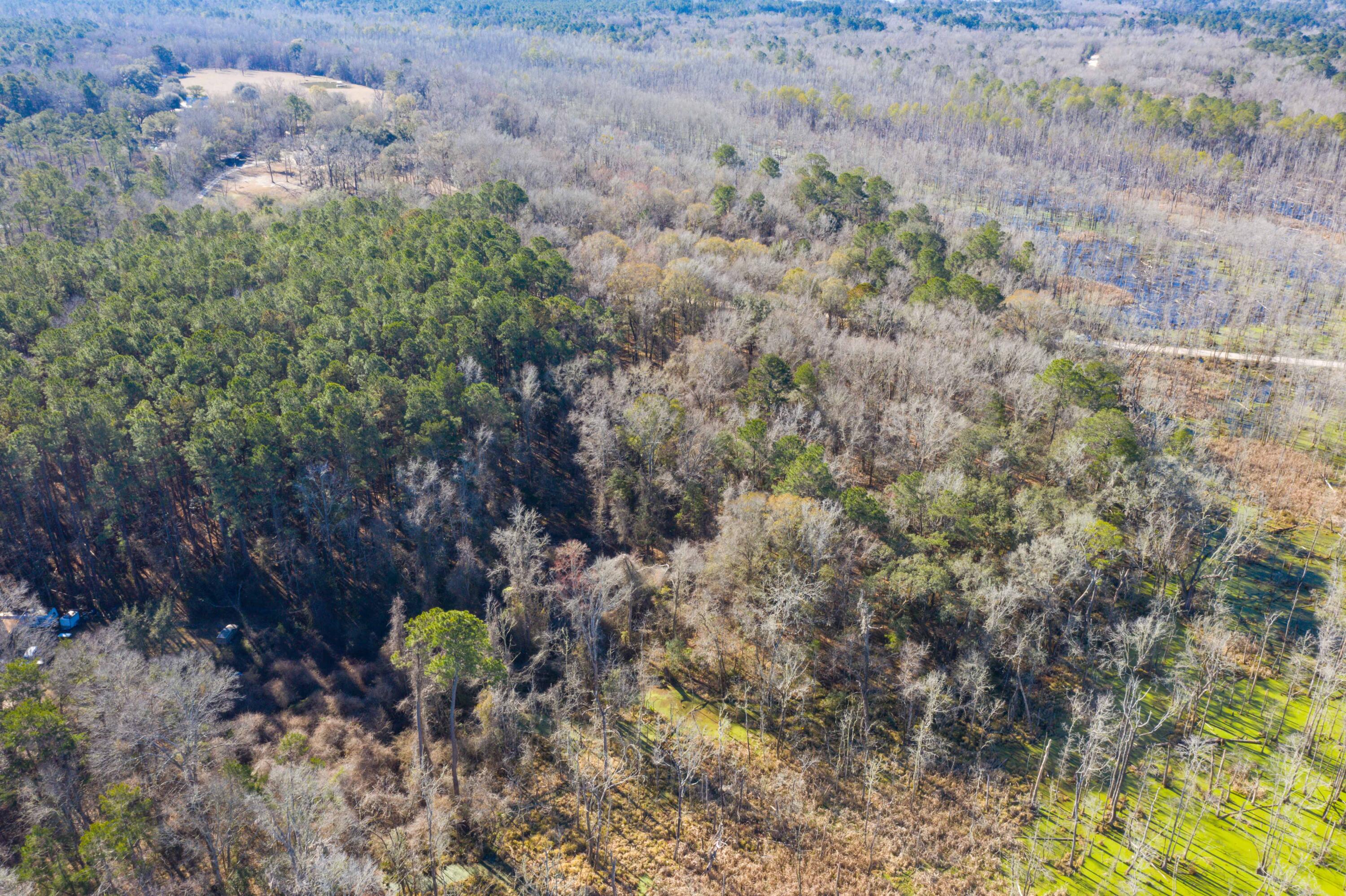 0 Bama Road Cottageville, SC 29435 - Photo 33 of 38 DJI_0014