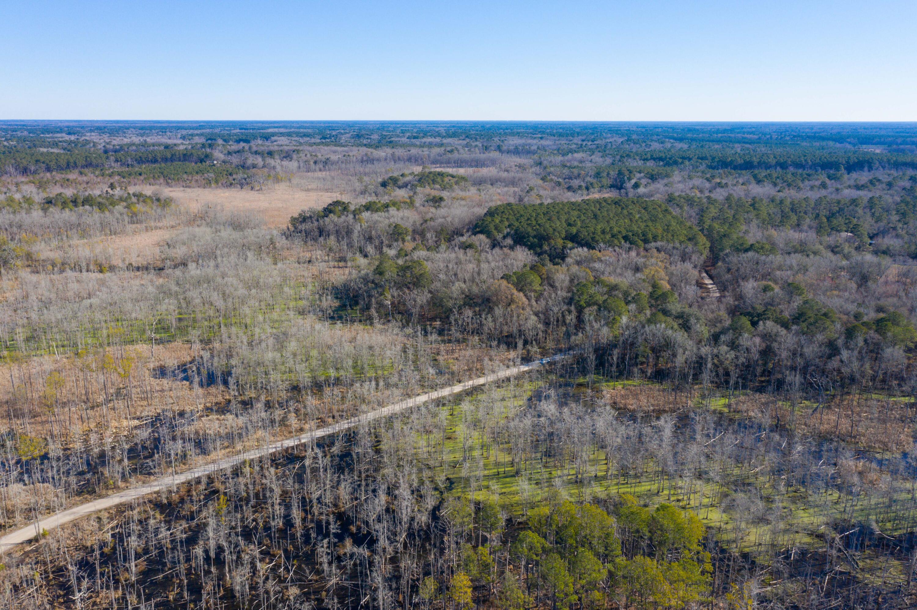 0 Bama Road Cottageville, SC 29435 - Photo 34 of 38 DJI_0995