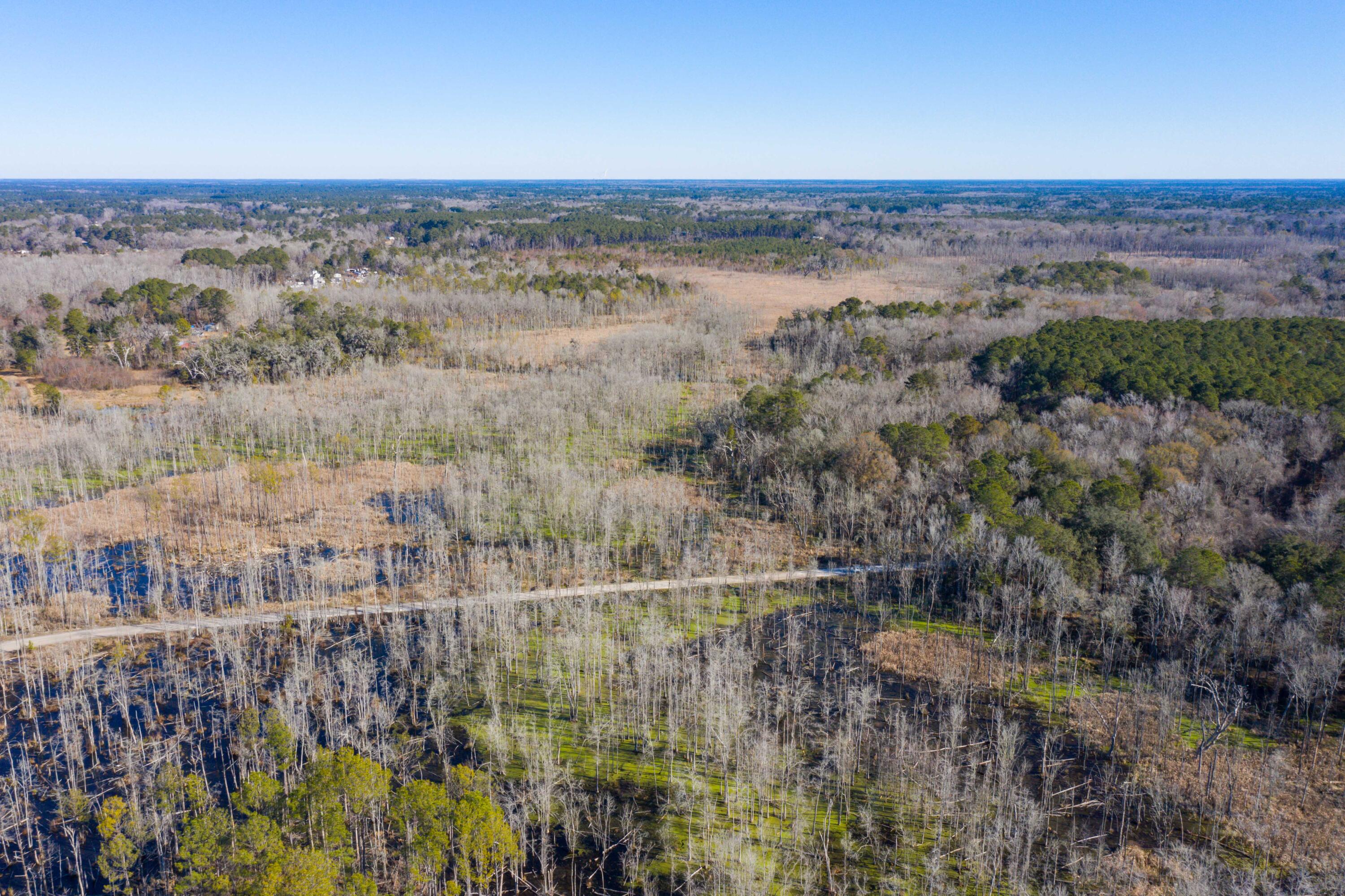 0 Bama Road Cottageville, SC 29435 - Photo 35 of 38 DJI_0996