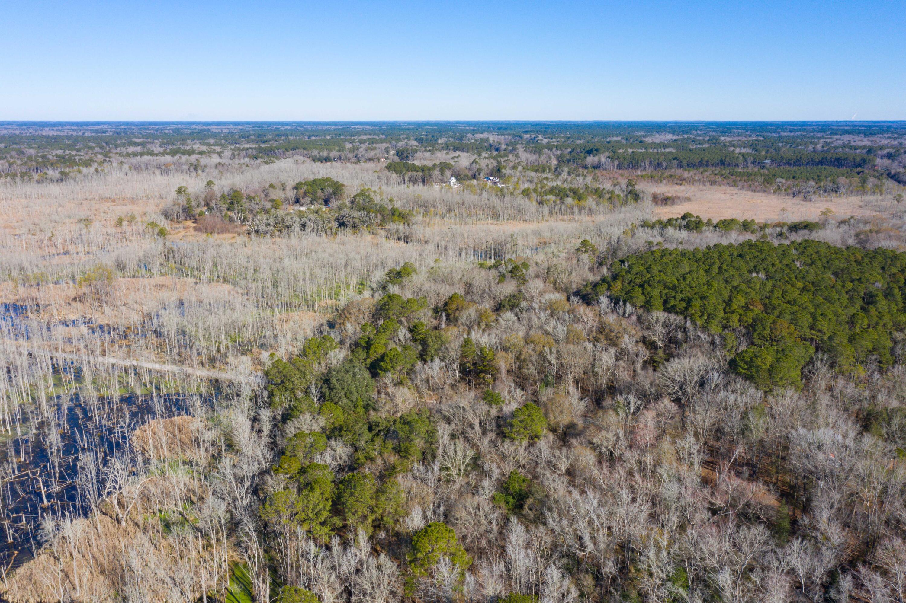 0 Bama Road Cottageville, SC 29435 - Photo 36 of 38 DJI_0997