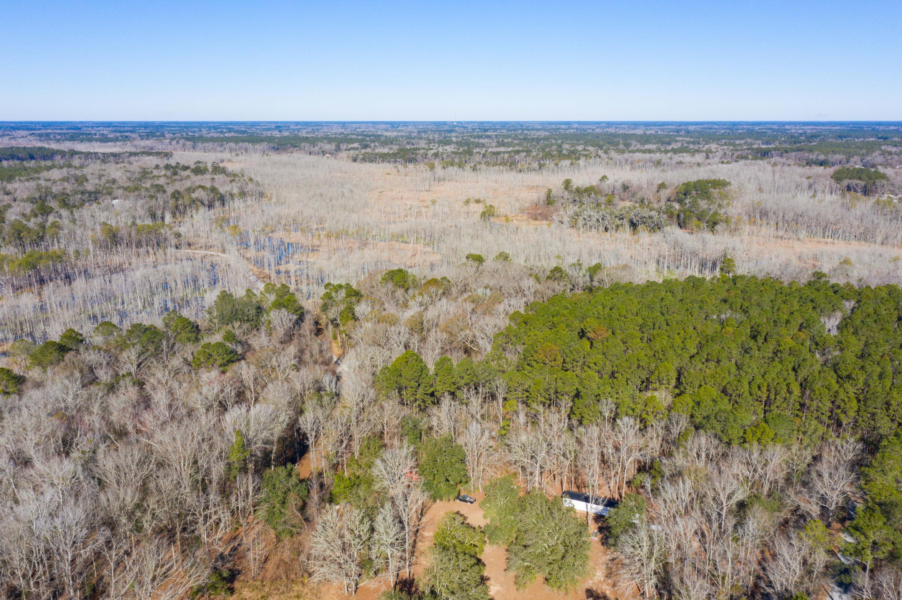 0 Bama Road Cottageville, SC 29435 - Photo 37 of 38 DJI_0998