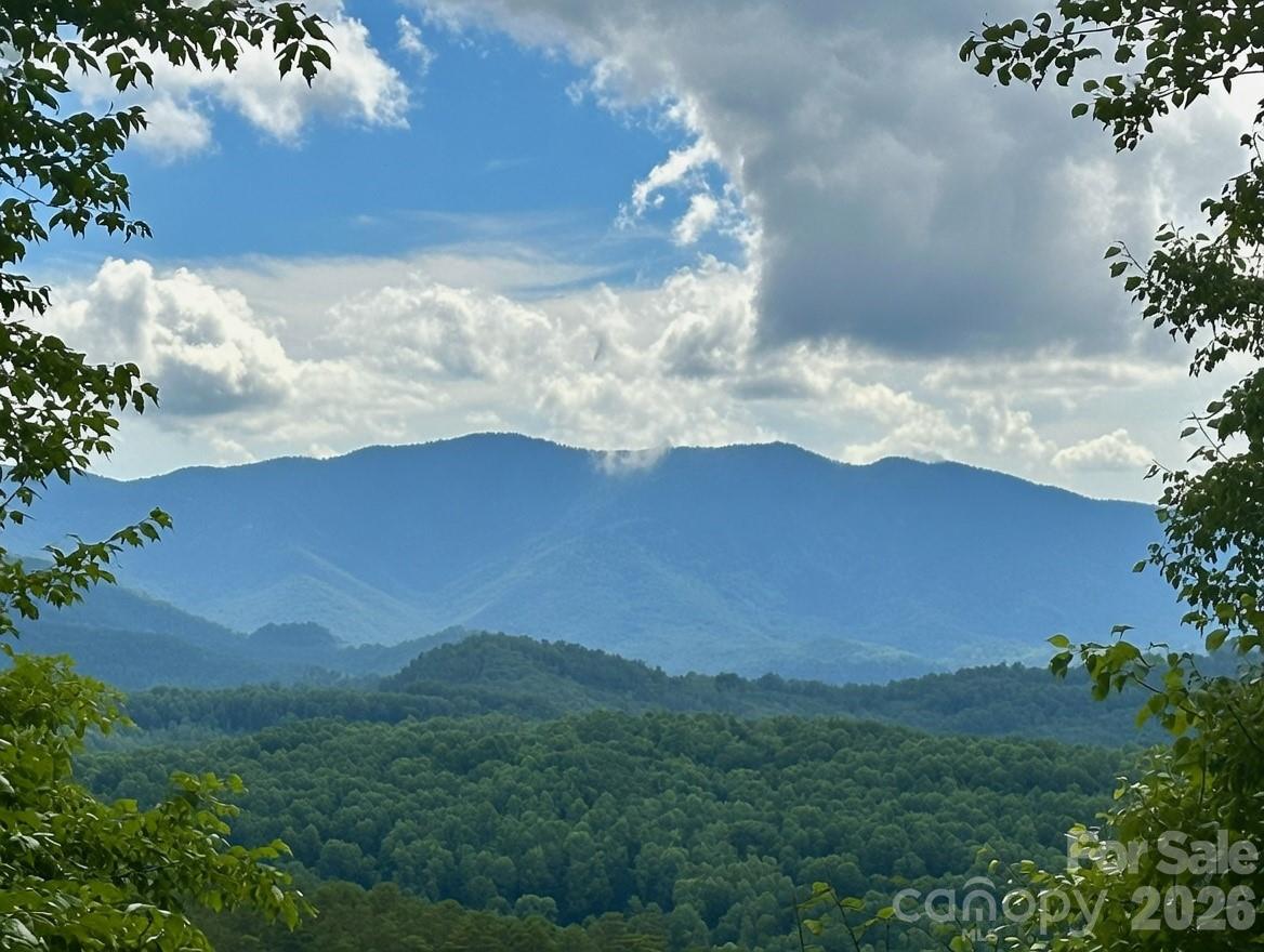 65 Blue Ridge Gem Mine Road Spruce Pine, NC 28777 - Photo 2 of 30