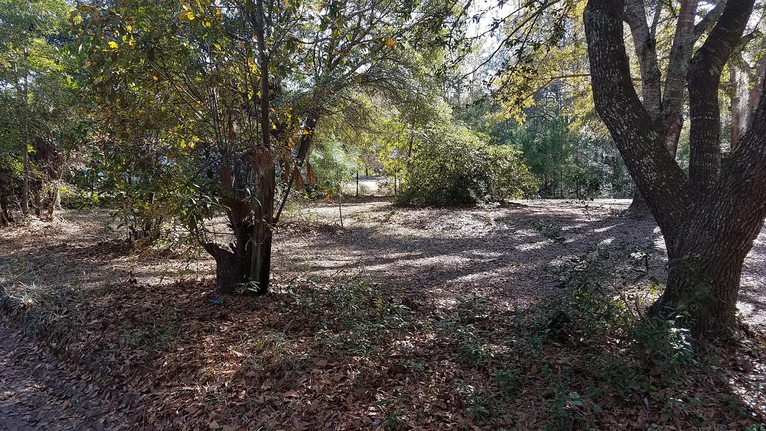 5755 Geathers Road Hollywood, SC 29449 - Photo 1 of 3 20170117_134828