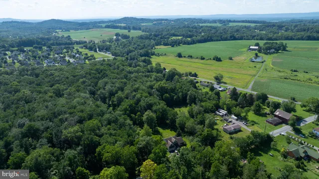 an aerial view of green landscape with trees houses and mountain view