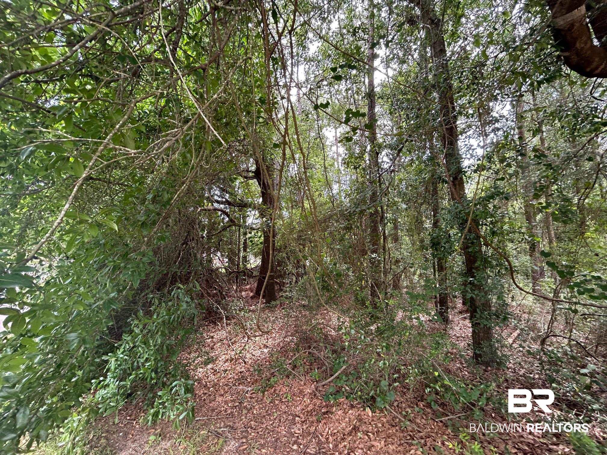 0 Laura Drive Semmes, AL 36575 - Photo 1 of 8 Main