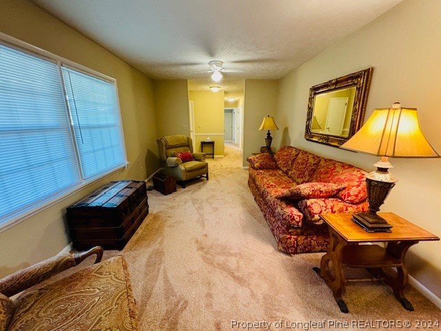434 Windsor Road Lumberton, NC 28358 - Photo 24 of 42