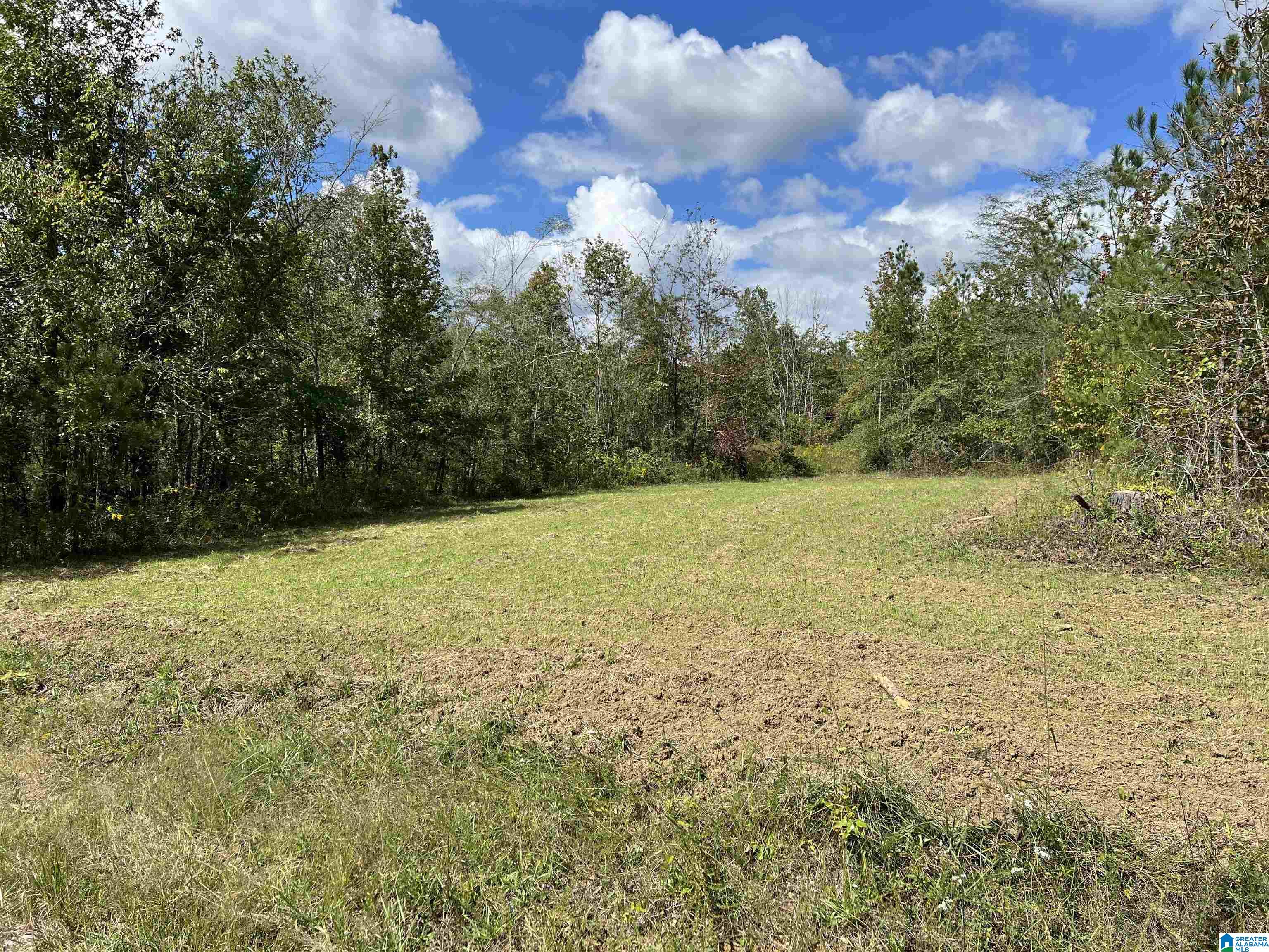 0 Sweatt Road Steele, AL 35987 - Photo 8 of 11