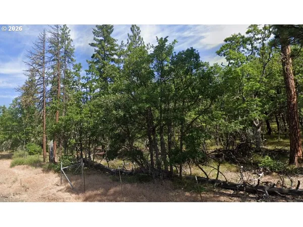 $100,000 | Wahkiacus Heights Road, Wahkiacus, WA 98670