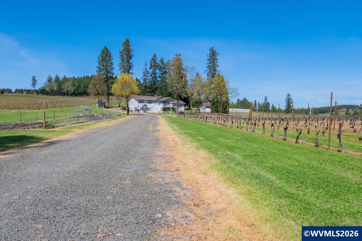 25357 High Pass Road Junction City, OR 97448 - Photo 4 of 43