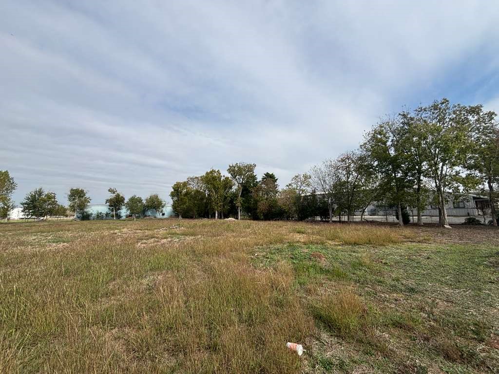 8665 Scranton Street Houston, TX 77075 - Photo 3 of 6 a view of big yard with large trees